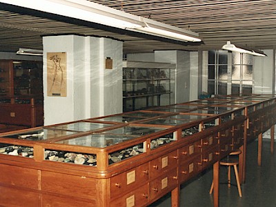 Mineraliensammlung der FWT