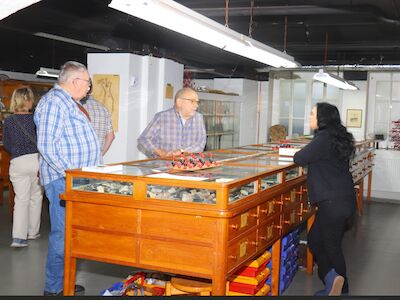 Führung durch die Mineraliensammlung